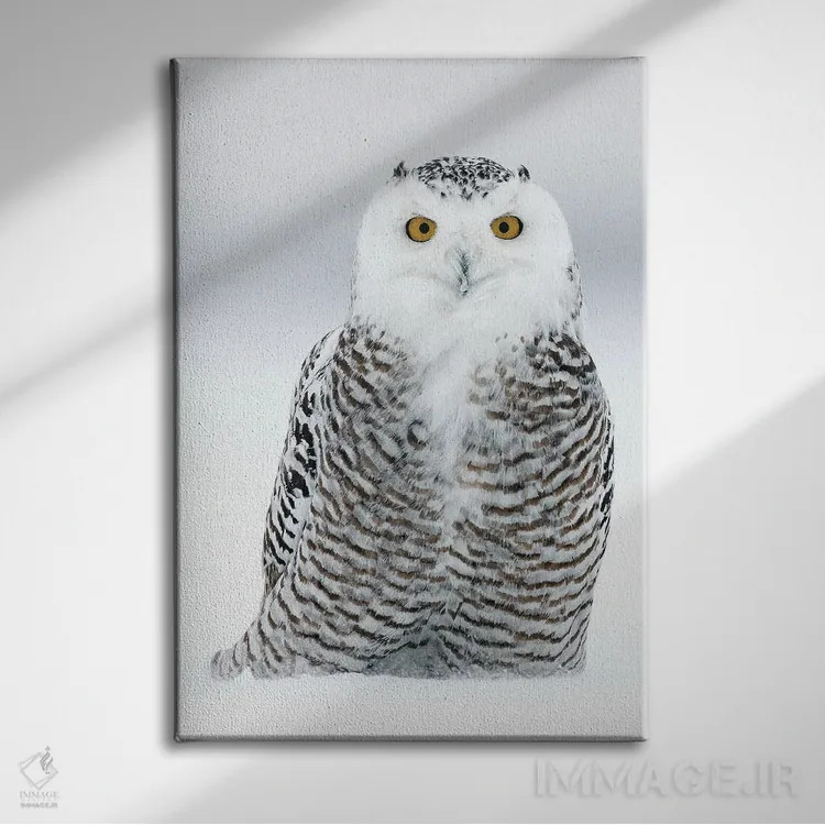 تابلو دکوراتیو کانادای برفی ۱۶ اثر میگل لاسا - نمای روبهرو روی دیوار