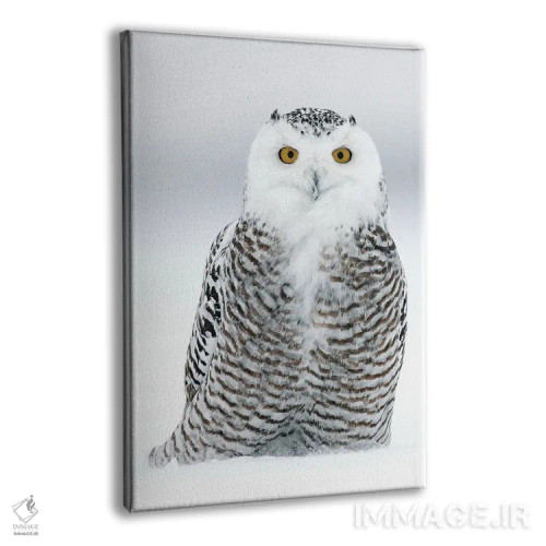 تابلو دکوراتیو کانادای برفی ۱۶ اثر میگل لاسا - نمای پرسپکتیو محصول