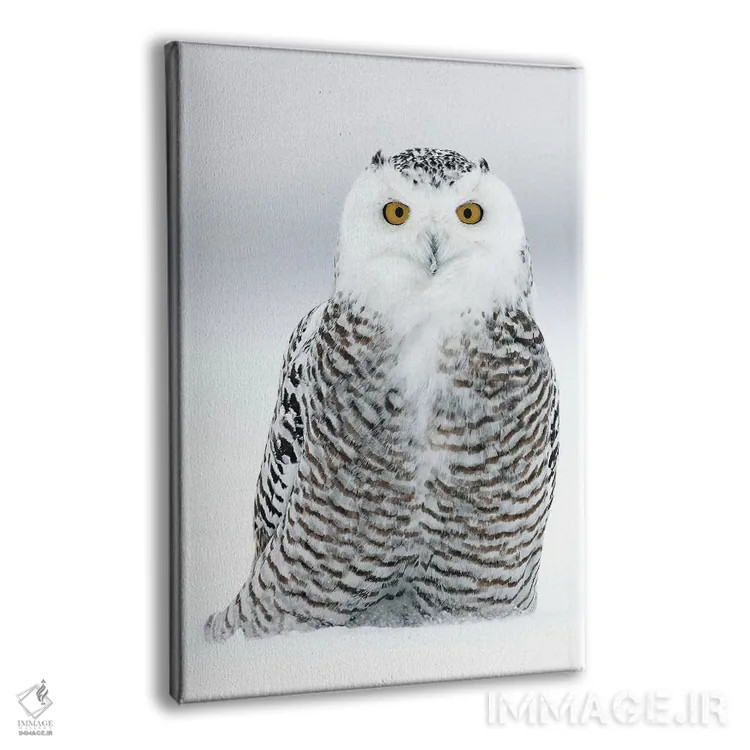 تابلو دکوراتیو کانادای برفی ۱۶ اثر میگل لاسا - نمای پرسپکتیو محصول