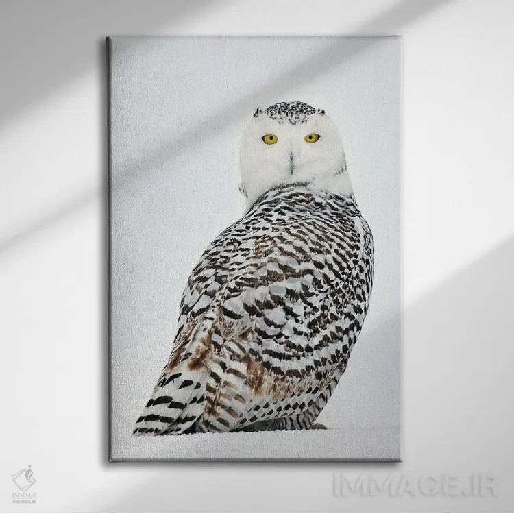 تابلو دکوراتیو کانادای برفی ۲۹ اثر میگل لاسا - نمای روبهرو روی دیوار