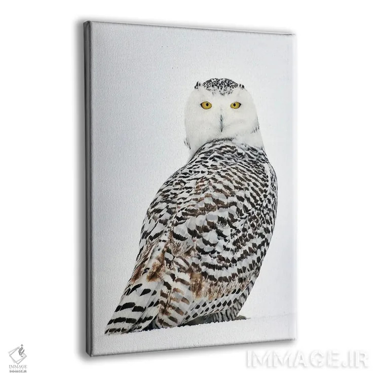 تابلو دکوراتیو کانادای برفی ۲۹ اثر میگل لاسا - نمای پرسپکتیو محصول