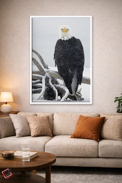 تابلو دکوراتیو عقاب آلاسکا ۱۹ اثر میگل لاسا - D1W
