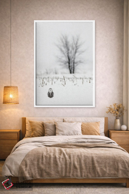 تابلو دکوراتیو کانادای برفی ۲ اثر میگل لاسا - D1W