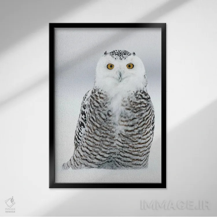 تابلو دکوراتیو کانادای برفی ۱۶ اثر میگل لاسا - نمای قابدار مشکی