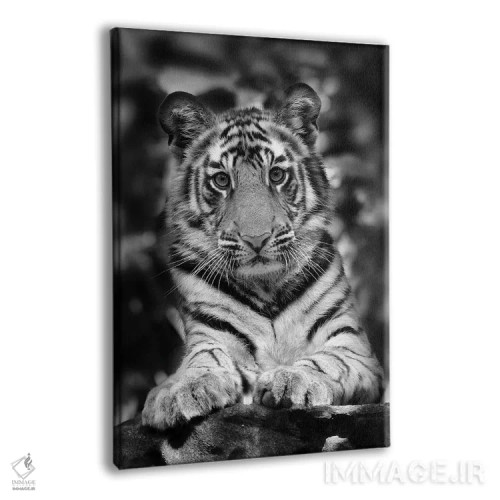 تابلو دکوراتیو اثر میگل لاسا - نمای پرسپکتیو محصول