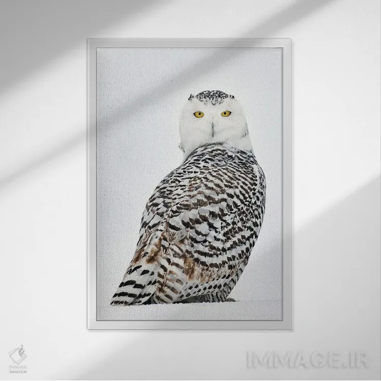 تابلو دکوراتیو کانادای برفی ۲۹ اثر میگل لاسا - نمای قابدار سفید