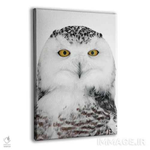 تابلو دکوراتیو اثر میگل لاسا - نمای پرسپکتیو محصول