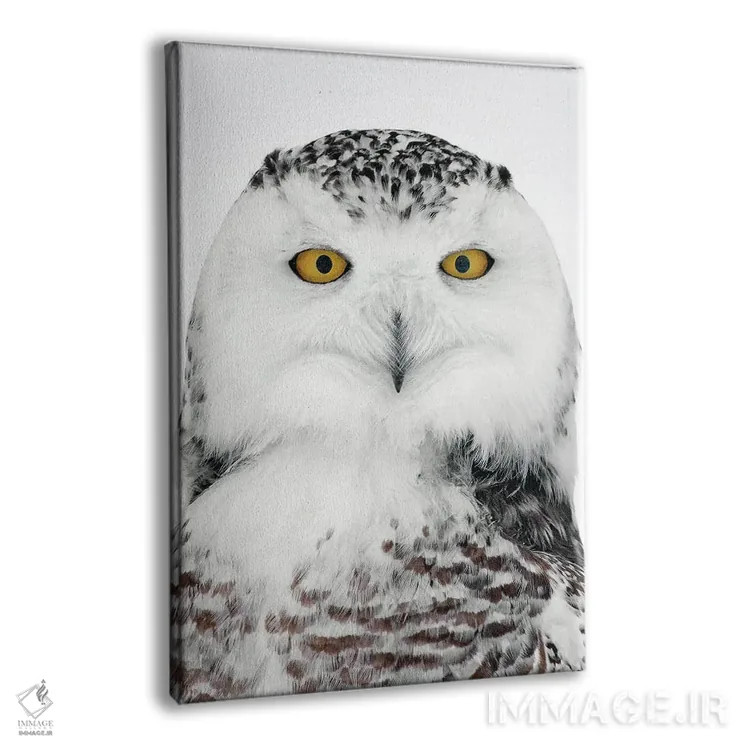 تابلو دکوراتیو اثر میگل لاسا - نمای پرسپکتیو محصول