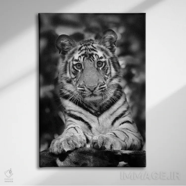 تابلو دکوراتیو اثر میگل لاسا - نمای روبهرو روی دیوار