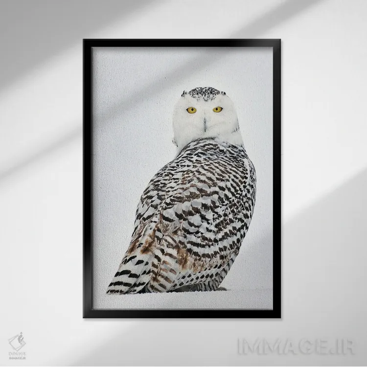 تابلو دکوراتیو کانادای برفی ۲۹ اثر میگل لاسا - نمای قابدار مشکی