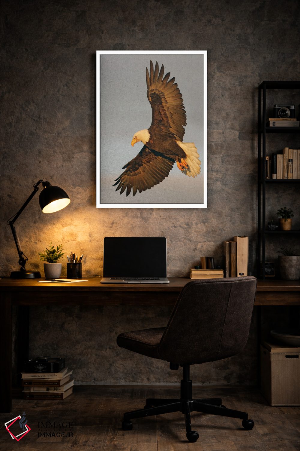 تابلو دکوراتیو عقاب آلاسکا ۱۶ اثر میگل لاسا - D6W