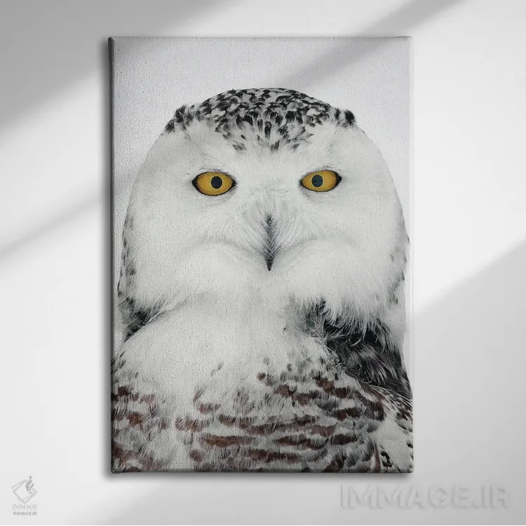 تابلو دکوراتیو اثر میگل لاسا - نمای روبهرو روی دیوار