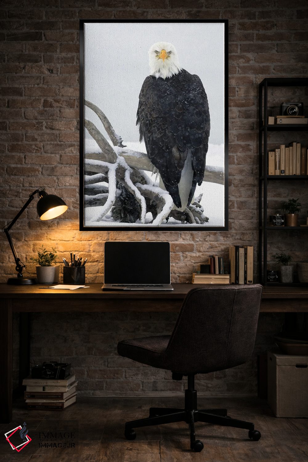 تابلو دکوراتیو عقاب آلاسکا ۱۹ اثر میگل لاسا - D6B
