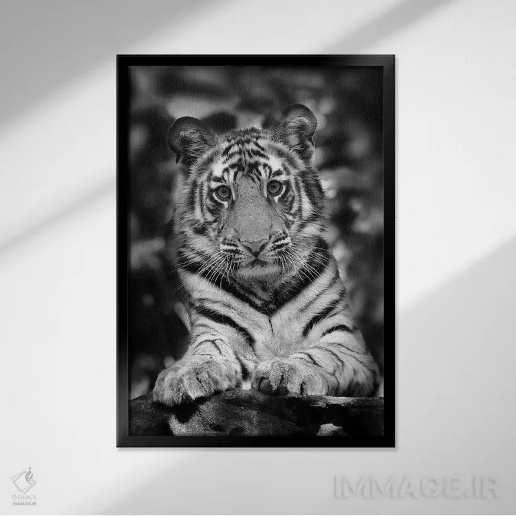 تابلو دکوراتیو اثر میگل لاسا - نمای قابدار مشکی