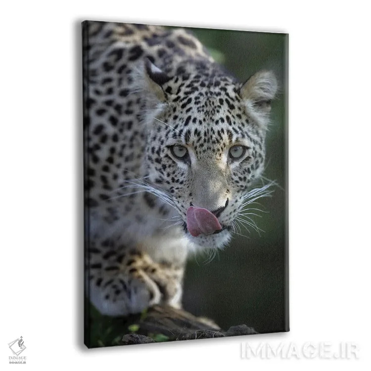 تابلو دکوراتیو اثر میگل لاسا - نمای پرسپکتیو محصول