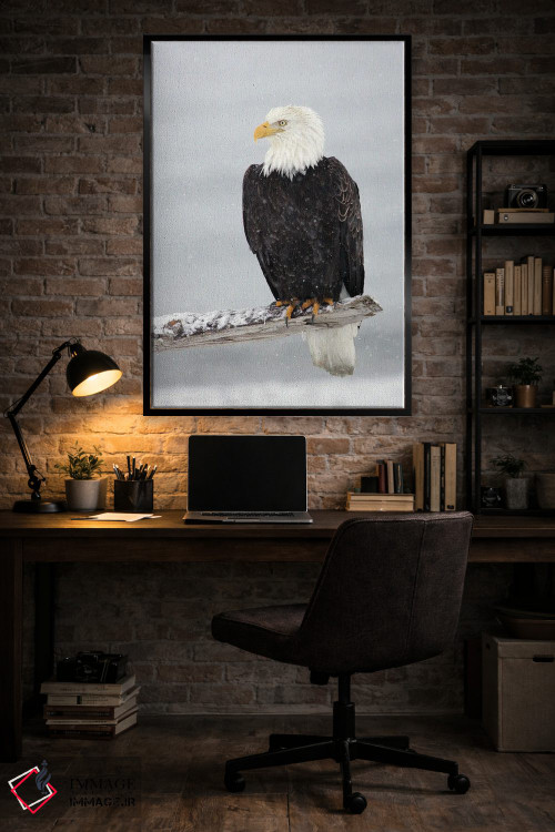 تابلو دکوراتیو عقاب برفی اثر میگل لاسا - D4B