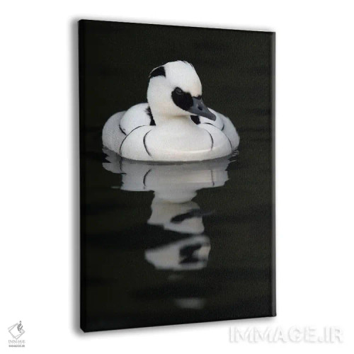 تابلو دکوراتیو اثر میگل لاسا - نمای پرسپکتیو محصول