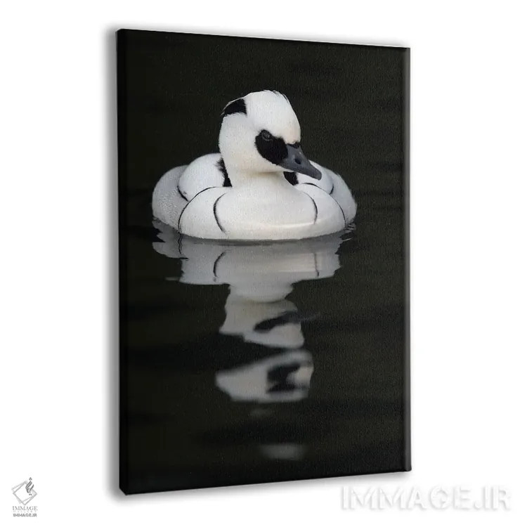 تابلو دکوراتیو اثر میگل لاسا - نمای پرسپکتیو محصول