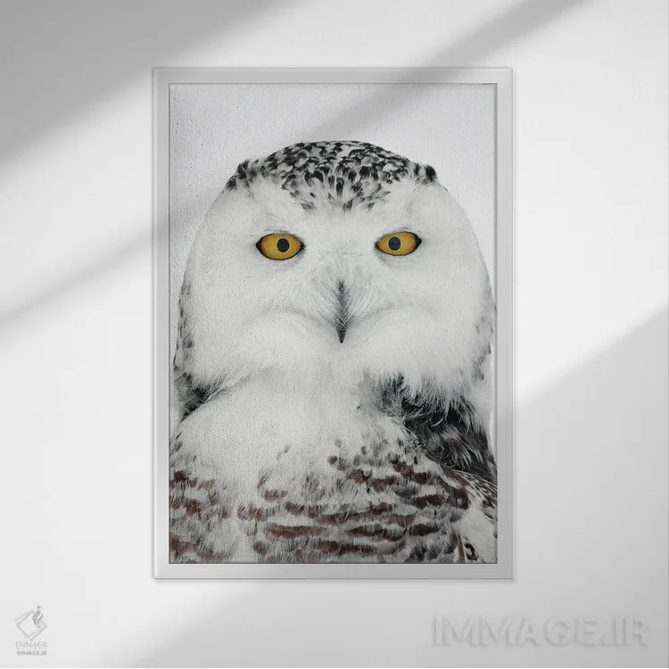 تابلو دکوراتیو اثر میگل لاسا - نمای قابدار سفید