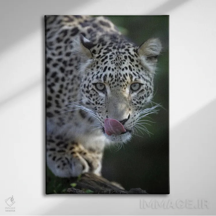 تابلو دکوراتیو اثر میگل لاسا - نمای روبهرو روی دیوار