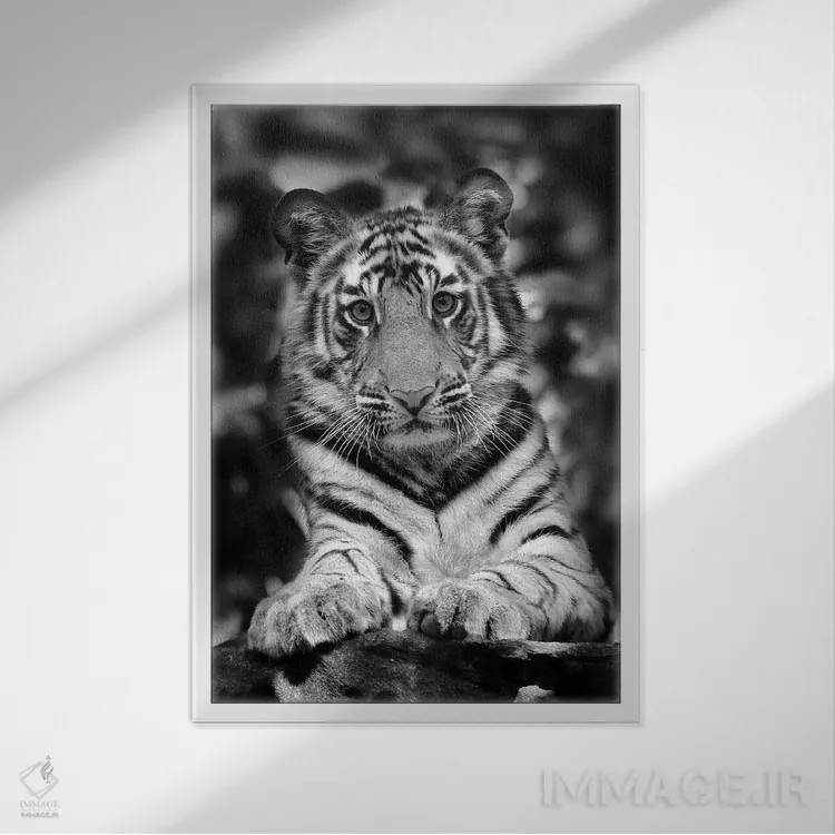 تابلو دکوراتیو اثر میگل لاسا - نمای قابدار سفید