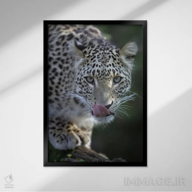 تابلو دکوراتیو اثر میگل لاسا - نمای قابدار مشکی