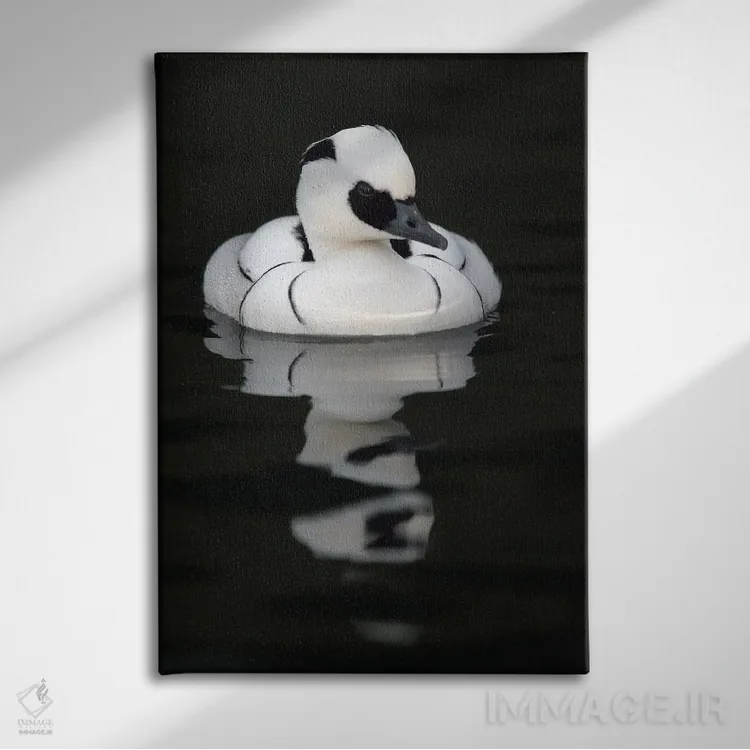 تابلو دکوراتیو اثر میگل لاسا - نمای روبهرو روی دیوار