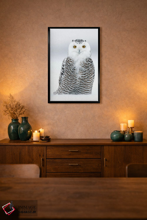 تابلو دکوراتیو کانادای برفی ۱۶ اثر میگل لاسا - D1B