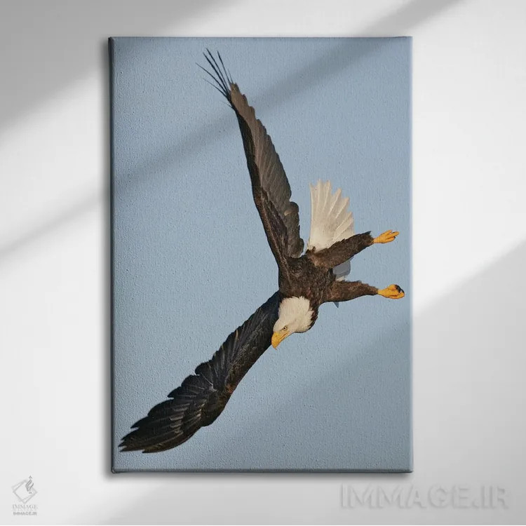 تابلو دکوراتیو اثر میگل لاسا - نمای روبهرو روی دیوار