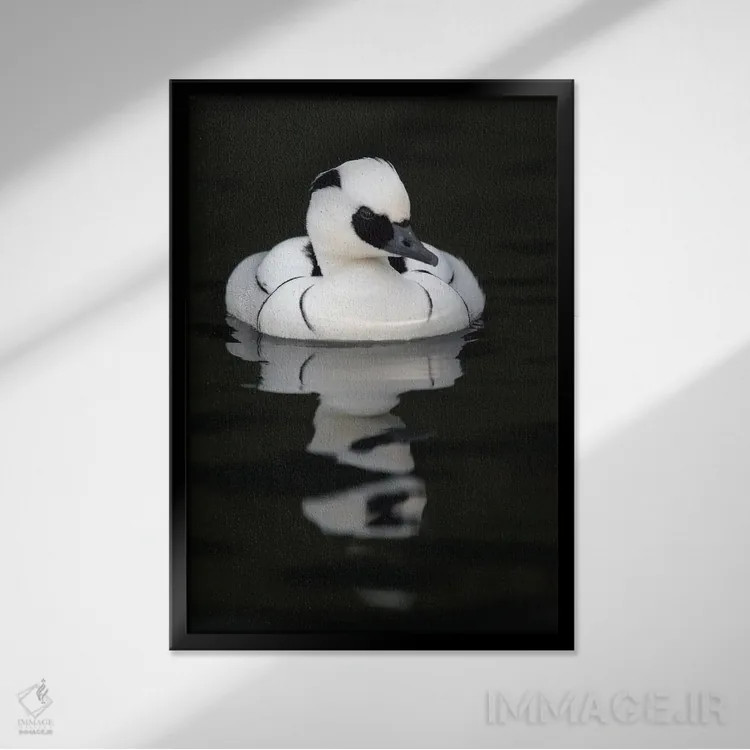 تابلو دکوراتیو اثر میگل لاسا - نمای قابدار مشکی