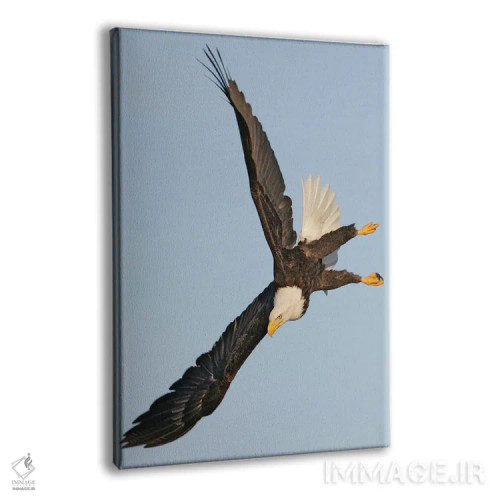 تابلو دکوراتیو اثر میگل لاسا - نمای پرسپکتیو محصول