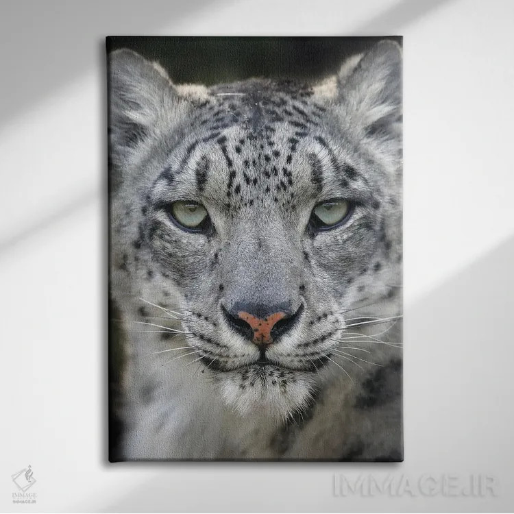 تابلو دکوراتیو اثر میگل لاسا - نمای روبهرو روی دیوار