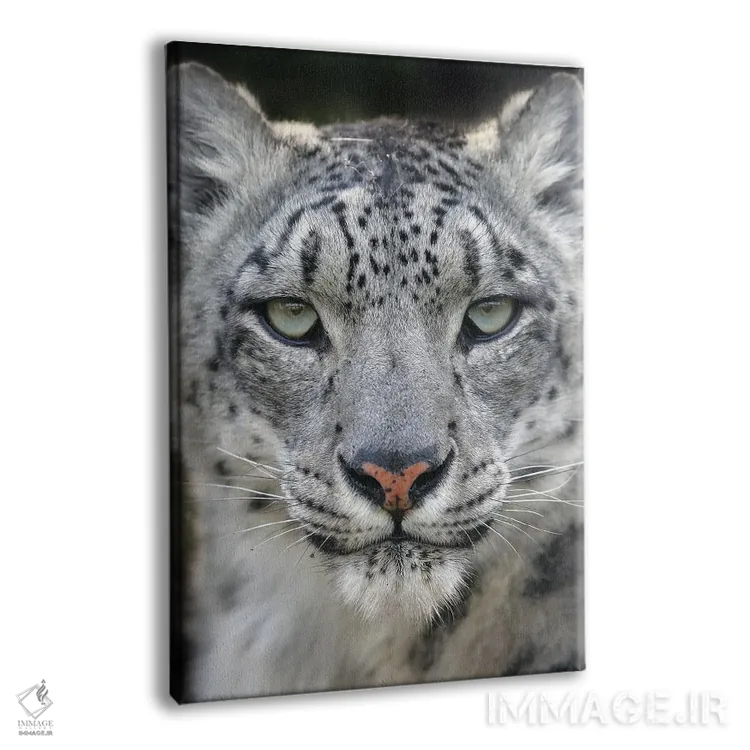 تابلو دکوراتیو اثر میگل لاسا - نمای پرسپکتیو محصول