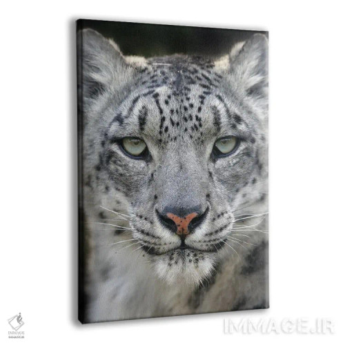 تابلو دکوراتیو اثر میگل لاسا - نمای پرسپکتیو محصول