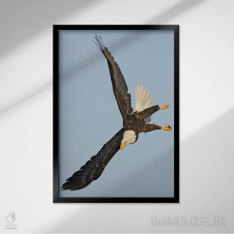 تابلو دکوراتیو اثر میگل لاسا - نمای قابدار مشکی