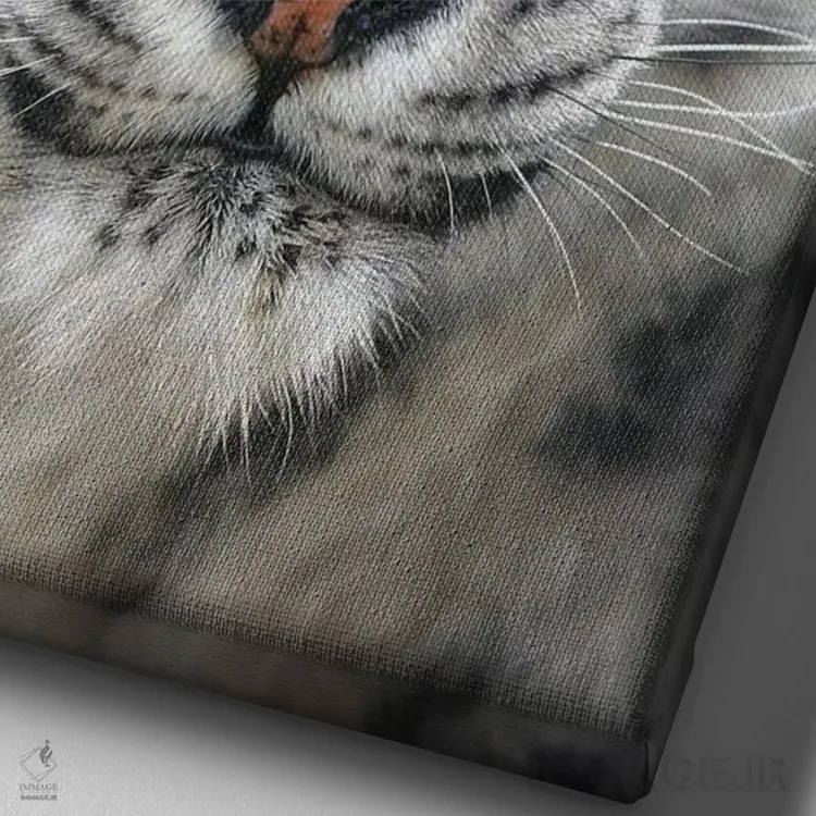 تابلو دکوراتیو اثر میگل لاسا - نمای نزدیک بافت بوم