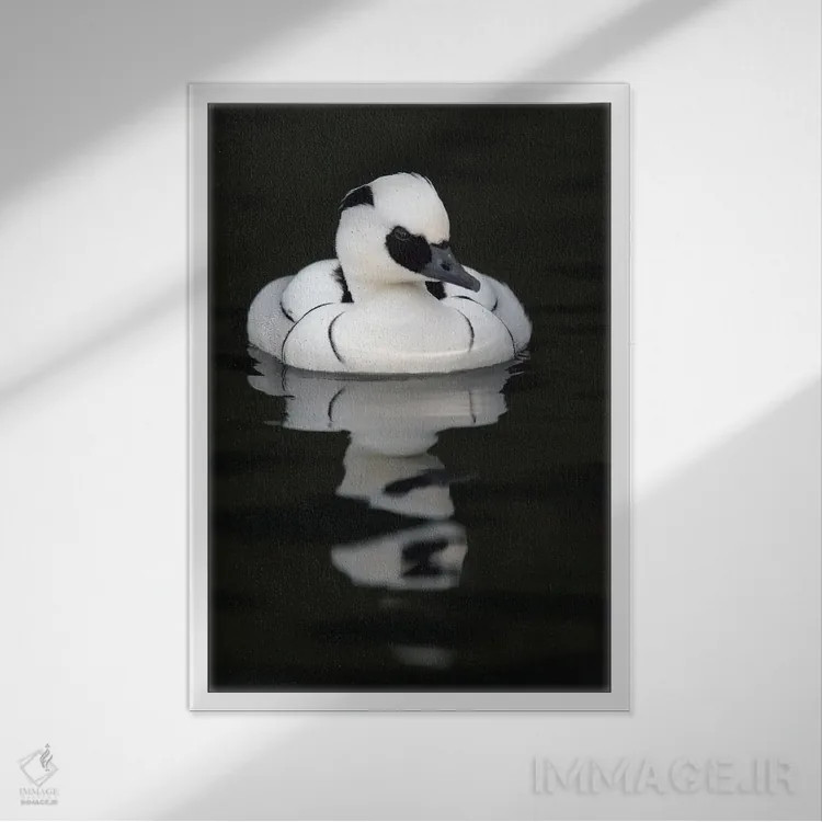 تابلو دکوراتیو اثر میگل لاسا - نمای قابدار سفید