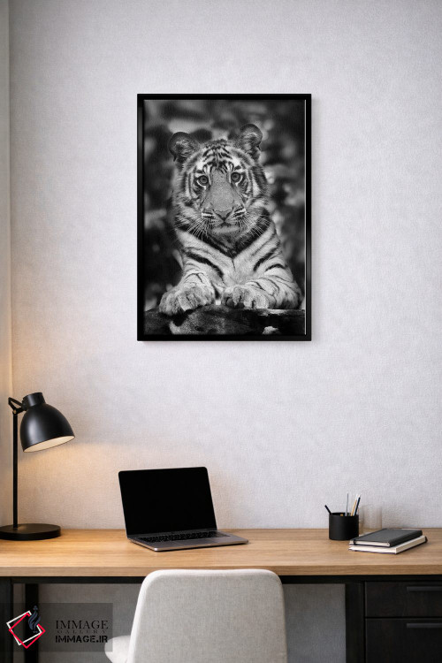 تابلو دکوراتیو اثر میگل لاسا - D2B