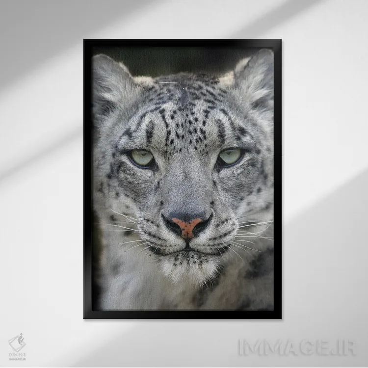 تابلو دکوراتیو اثر میگل لاسا - نمای قابدار مشکی