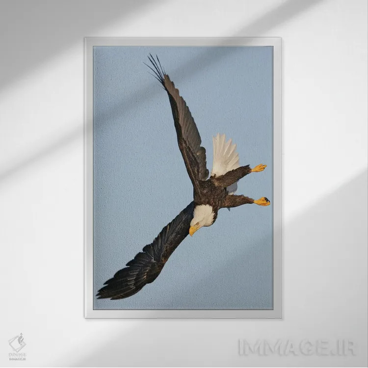 تابلو دکوراتیو اثر میگل لاسا - نمای قابدار سفید