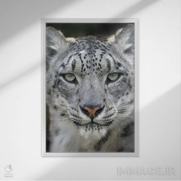 تابلو دکوراتیو اثر میگل لاسا - نمای قابدار سفید