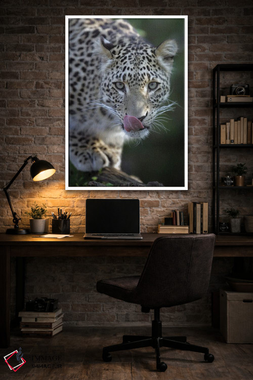 تابلو دکوراتیو اثر میگل لاسا - D3W