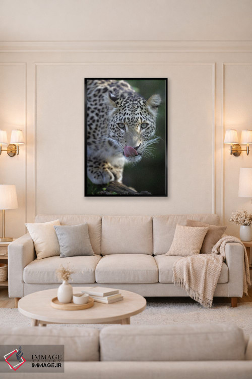 تابلو دکوراتیو اثر میگل لاسا - D4B