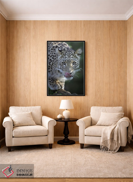 تابلو دکوراتیو اثر میگل لاسا - D5B