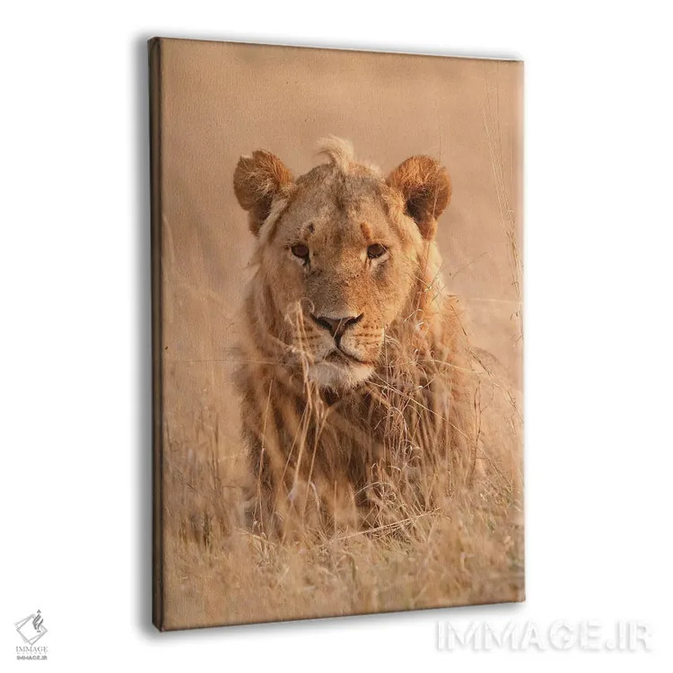 تابلو دکوراتیو اثر میگل لاسا - نمای پرسپکتیو محصول