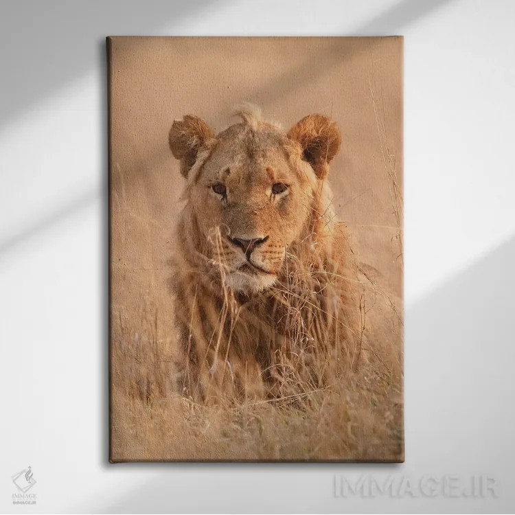 تابلو دکوراتیو اثر میگل لاسا - نمای روبهرو روی دیوار