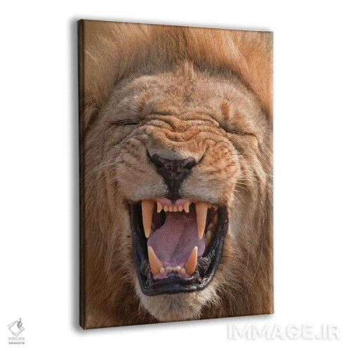 تابلو دکوراتیو اثر میگل لاسا - نمای پرسپکتیو محصول