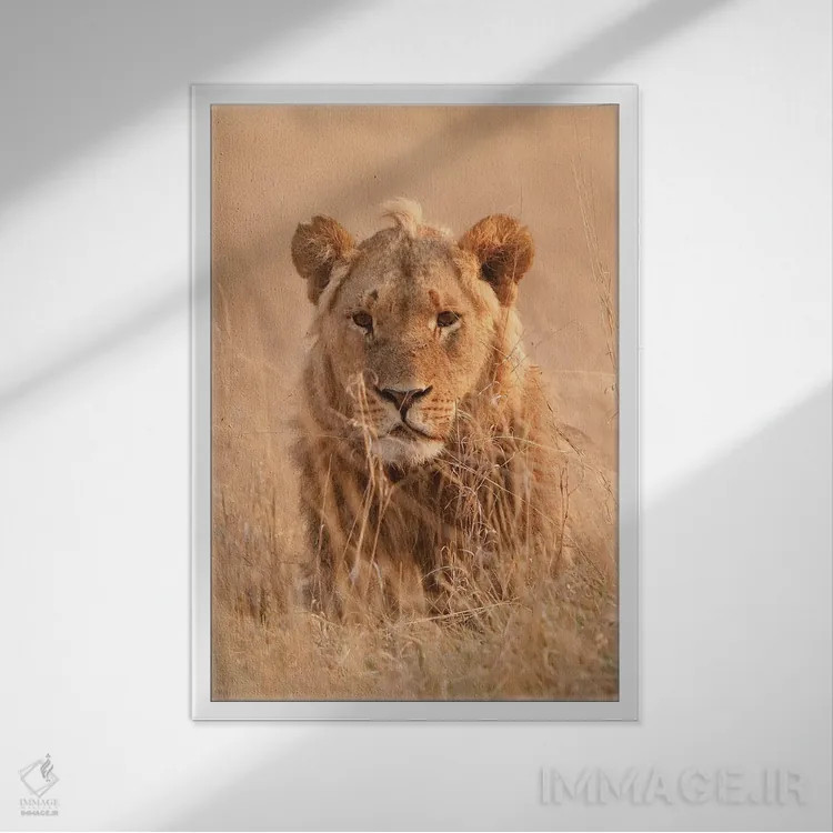 تابلو دکوراتیو اثر میگل لاسا - نمای قابدار سفید