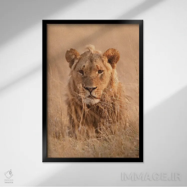 تابلو دکوراتیو اثر میگل لاسا - نمای قابدار مشکی