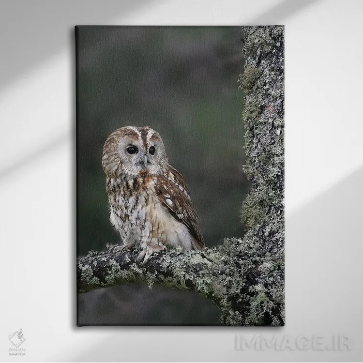 تابلو دکوراتیو اثر میگل لاسا - نمای روبهرو روی دیوار